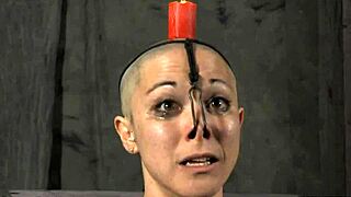 Beautiful masters of bondage and blowjob porn