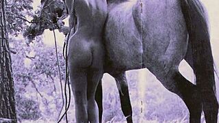 A cute babe and her husband explore new heights of pleasure