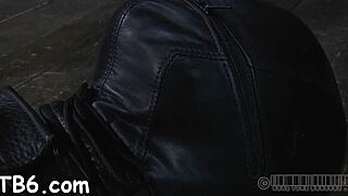Bound bi sexual babe gets her pussy licked and cock sucked hard in hot pornography