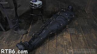 Bound bi sexual babe gets her pussy licked and cock sucked hard in hot pornography