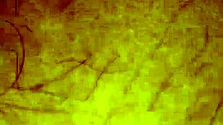 Wife Asleep, Tempting Secrets Unfold at Night