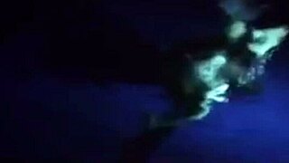 no hassle night with a sexy bikini girl