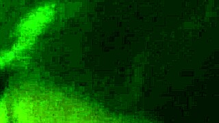 Love Sucking That Cock!