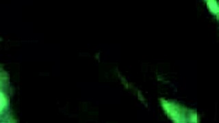 sloppy head in a casual story