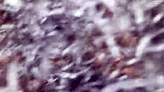 amateur video featuring everyday people in action