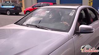 cleo cadillac and spartacus getting wild together?