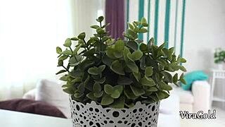 mia lee says, let me play with that hard cock