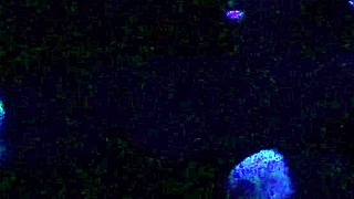 scarlett johnson under blacklight, ready for sex?