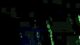 Video from december 23, 2012