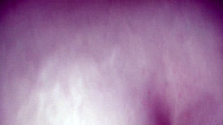 Video from december 23, 2012