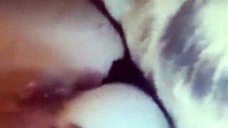 Early Morning Jerking