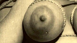 what's my secret vintage lesbian bondage life?