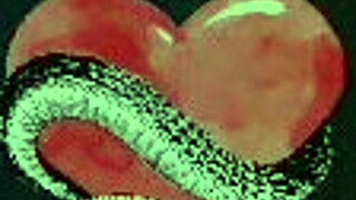 Rica enjoys bathing in the shower