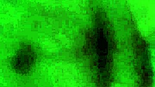 want an anal creampie?