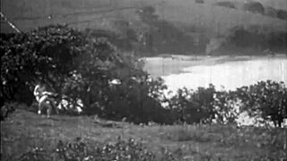 Summer vintage naturists flaunt hairy beaver and tits on beach