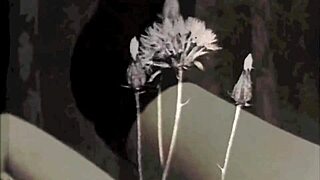 Summer vintage naturists flaunt hairy beaver and tits on beach