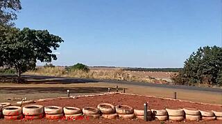 bibi tsunami topless teen big ass pussy crossdressing on roadside!