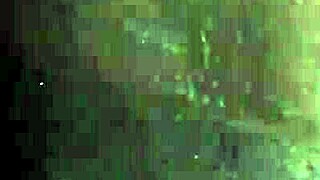 The Screaming Ebony Pussy Gets Wet