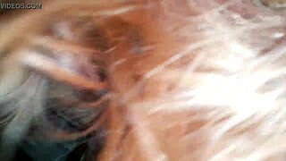 my wife really knows how to suck a big cock