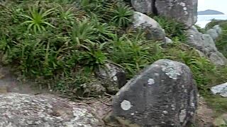 watch her grab the fisherman's rod outdoors?