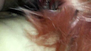 my wife really knows how to suck a big cock