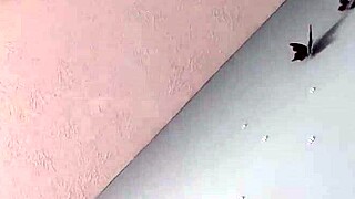 whores feeling intense pleasure while getting fucked