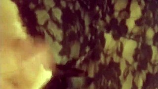 angie and alan chat about their day together