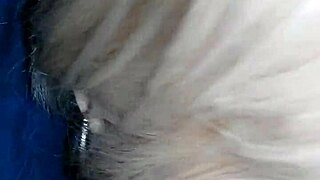 Homemade Amateur Blowjob With Intense Sucking Deepthroat And Swallowing In Bedroom