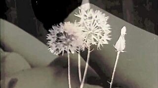 oh wow, dark lantern presents hairy natural tits in vintage retro style!