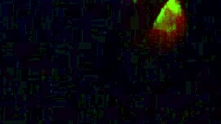 Swallowing that big black cock 😋