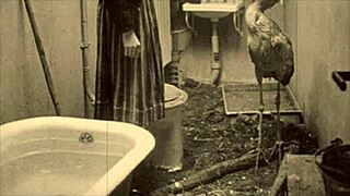 Dark Lantern presents vintage girls in natural settings.