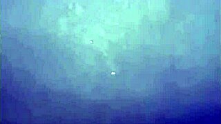 watch this gay guy cum from solo handjob?