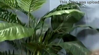 August Night Shows Perfect Ass Mound in Wet Pussy Deepthroat Action