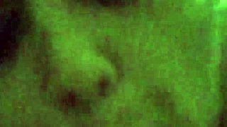 Honeysuckle eagerly sucks amateur cock in homemade scene