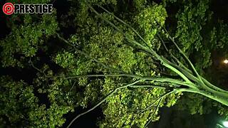 Japanese Amateur Blowjob with Toys