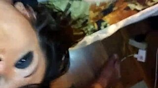 Video recorded on february 24, 2018 at 034515