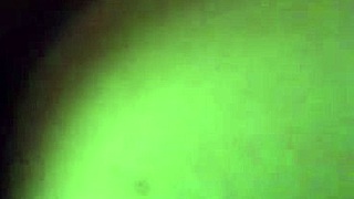 Σκύλος στάση με καυτή ισπανίδα κωλογκόμενα 😈