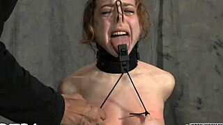 Sadomasochism stories unfold in a wild European game of hardcore competition.