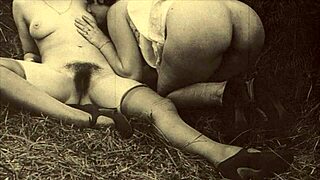 Old vintage porn with hairy group banging