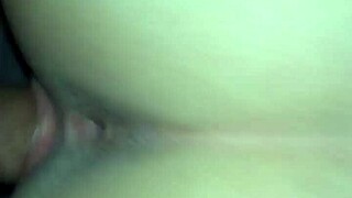 Video captured on August 20, 2017