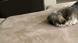 My gay stepbrother excels at sex, too bad he doesn't date women.