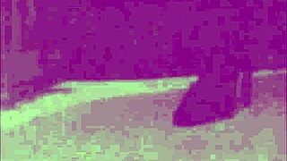 Watch This Amateur Blonde MILF With Big Tits Fingering Her Wet Pussy!