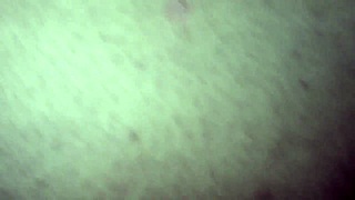 Morena big ass teases with stockings, getting creampies