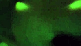 detailed all fours encounter after nightclub party