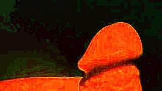 Ifoslave Cumming For My Masters!