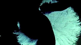 i saw this rare vintage english foursome and it was so hairy and retro, man