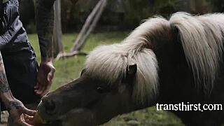 the hottest milf tranny performs passionate acts including blowjob and anal