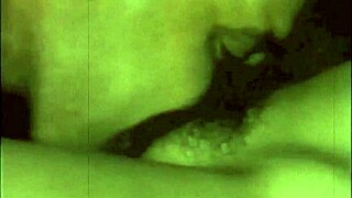 dark lantern presents vintage porn collection