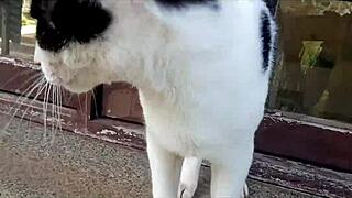 hey, check sarah rosa flashing those gorgeous boobs! 😍