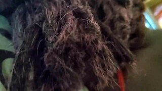 Beyond Classroom Adventures: Roommate FUCKS Her Instead of Essay - Jhodez1